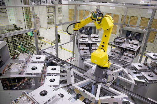 King Charles Cavalier